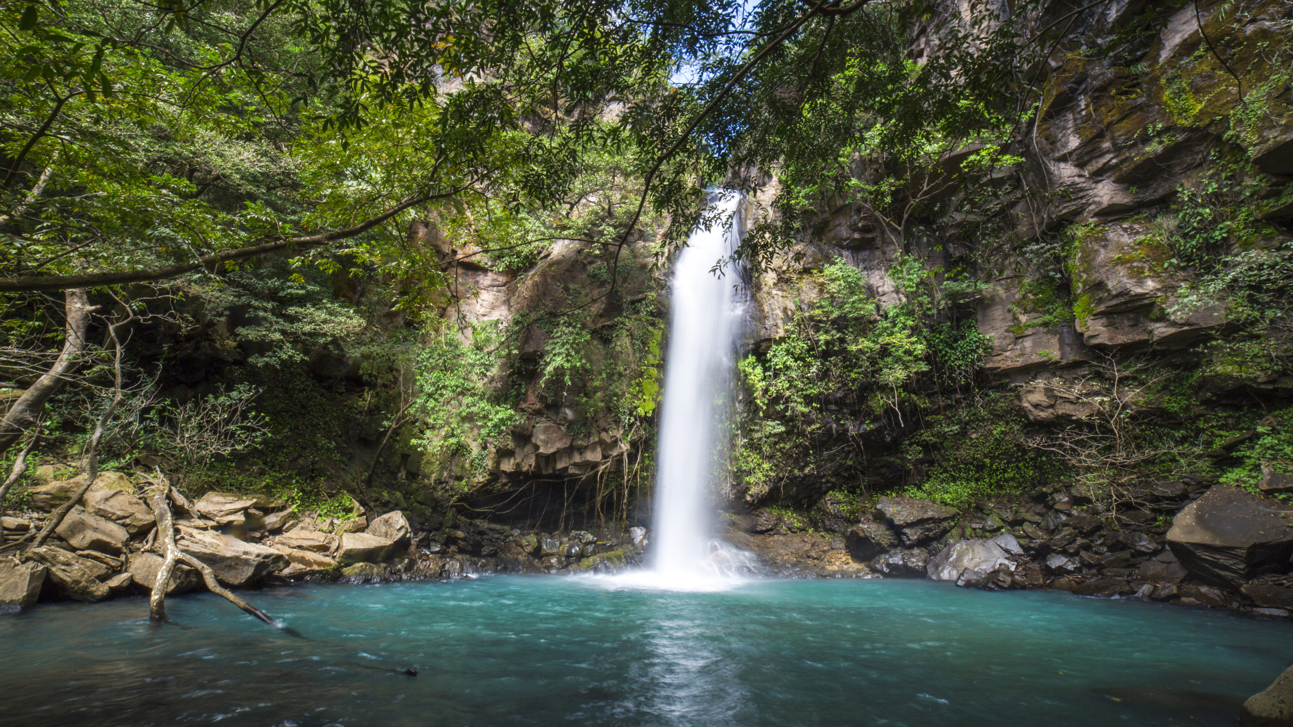 Rincón de la Vieja National Park vs. Rincón Thermal Springs: What’s the Difference?
