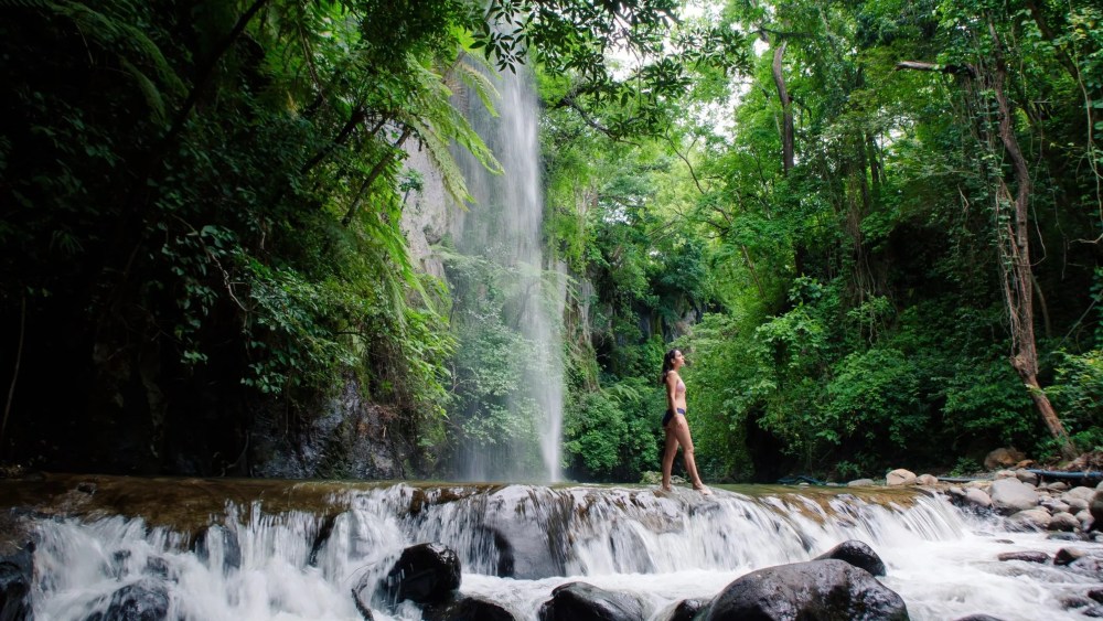 Persona en traje de baño de pie cerca de una cascada en un bosque exuberante.