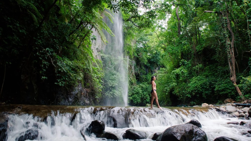 Person standing on rocks near a waterfall in a lush green forest.