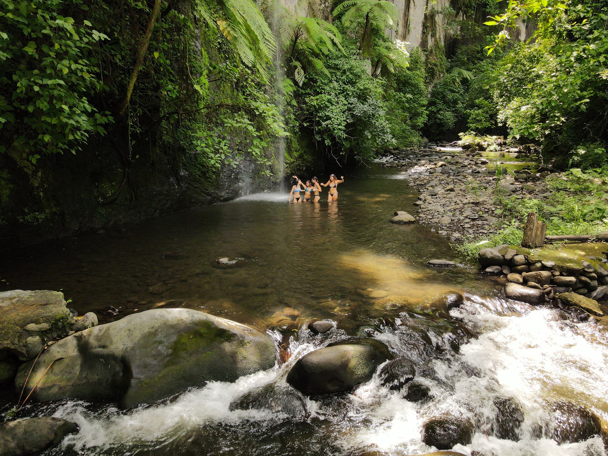Personas nadando en un arroyo del bosque rodeado de exuberante vegetación.
