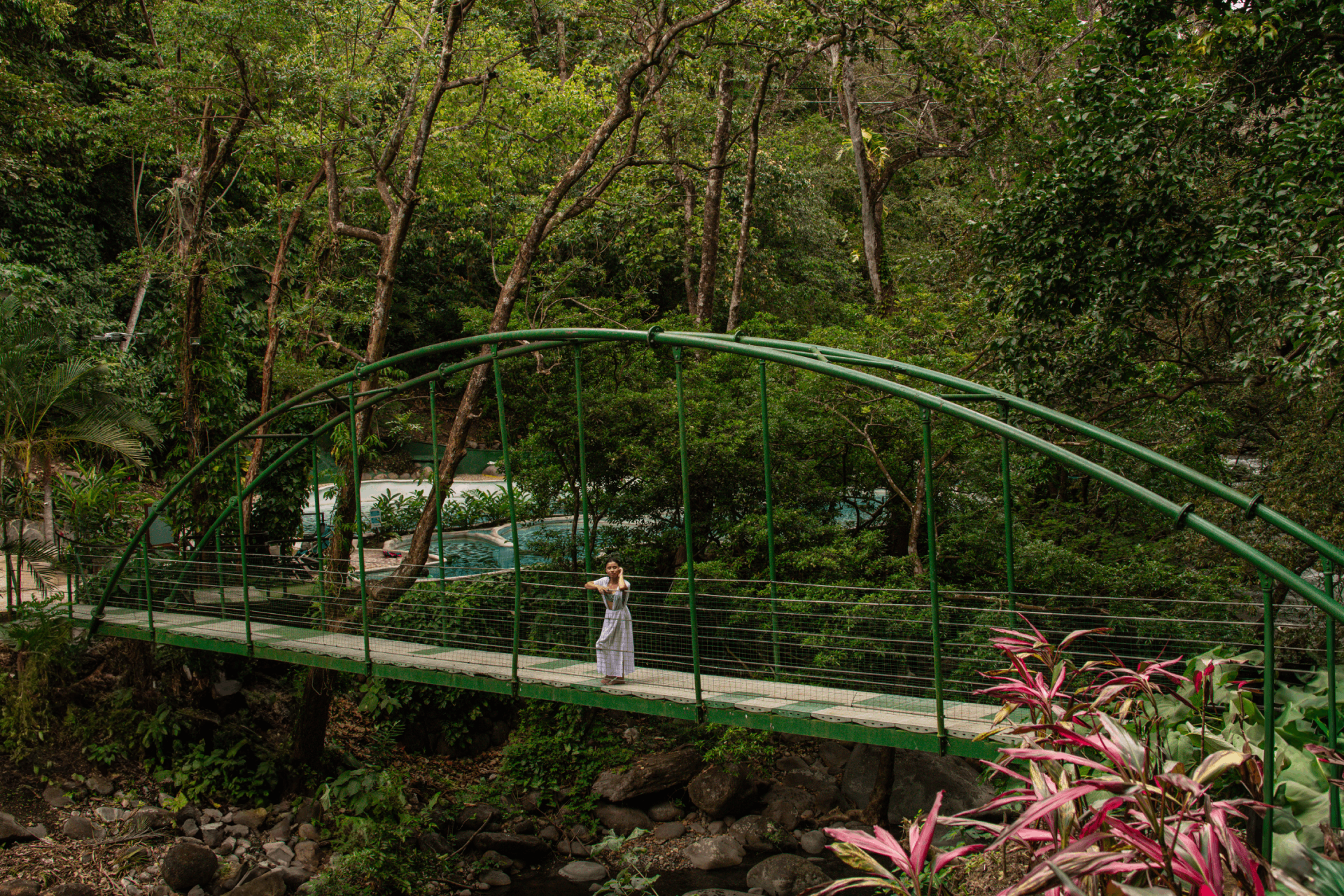 Activity 3 placeholder Person walking on a green arch bridge surrounded by dense trees and plants.