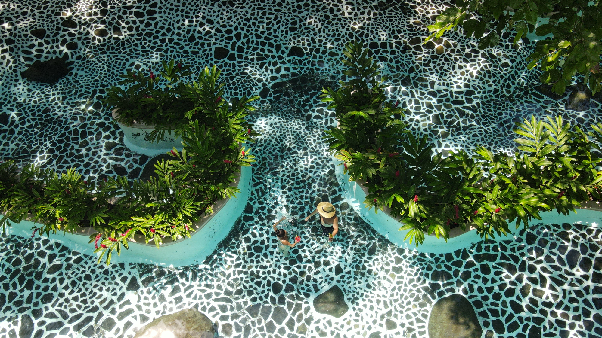 Activity 4 placeholder Overhead view of a patterned pool with curved planters and green plants.